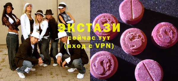 ECSTASY Богданович